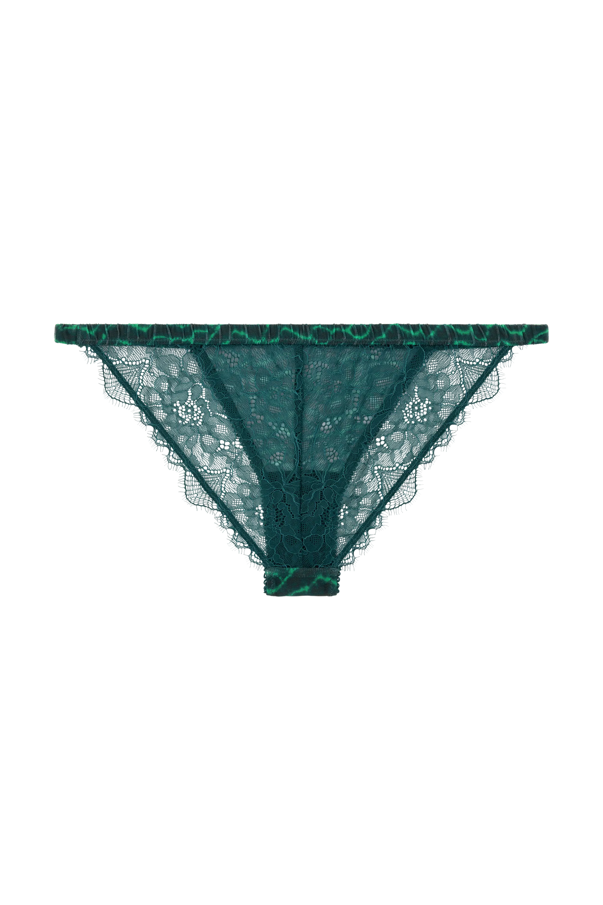 LOVE STORIES Brief "Wild rose" dark green